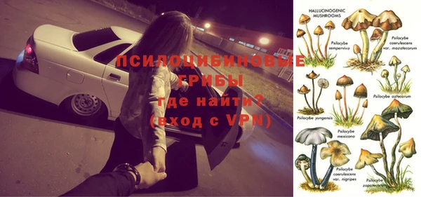ГАЛЛЮЦИНОГЕННЫЕ ГРИБЫ Балабаново