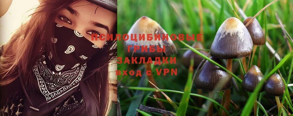 винт Балахна