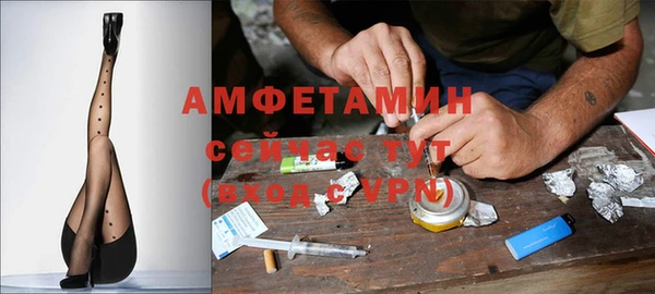 ГАЛЛЮЦИНОГЕННЫЕ ГРИБЫ Балабаново